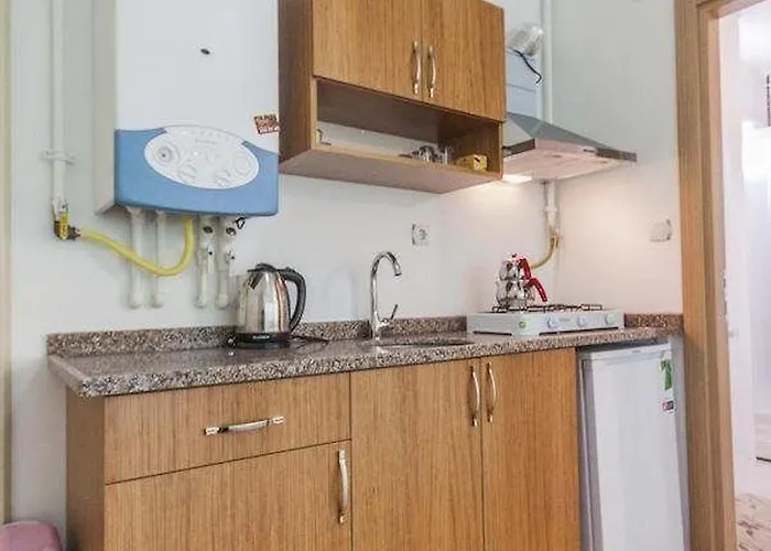 216 Eagle Palace Hotel 3*